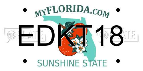 EDKT18 Florida License Plate