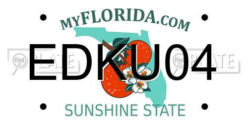EDKU04 Florida License Plate