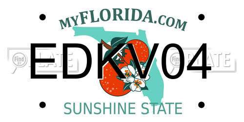 EDKV04 Florida License Plate