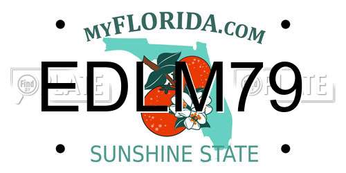 EDLM79 Florida License Plate