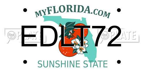 EDLT72 Florida License Plate