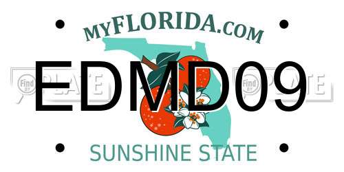 EDMD09 Florida License Plate