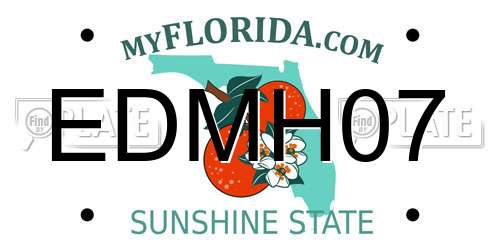 EDMH07 Florida License Plate