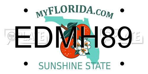EDMH89 Florida License Plate