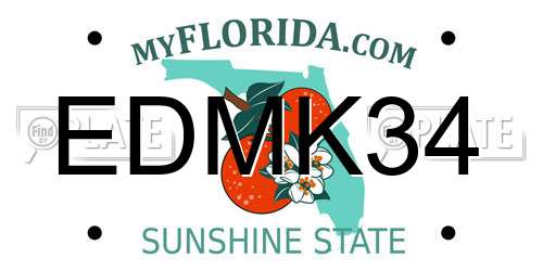 EDMK34 Florida License Plate