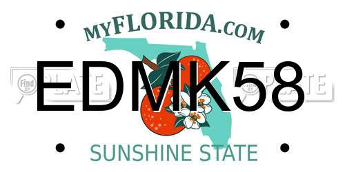 EDMK58 Florida License Plate