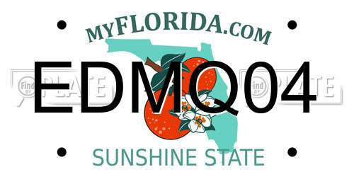 EDMQ04 Florida License Plate