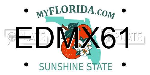 EDMX61 Florida License Plate