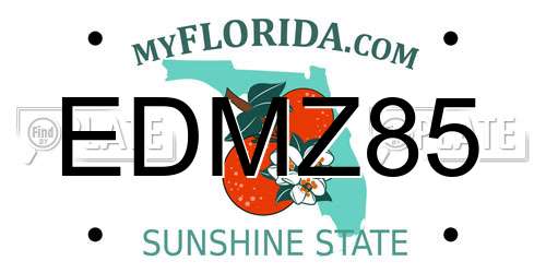 EDMZ85 Florida License Plate