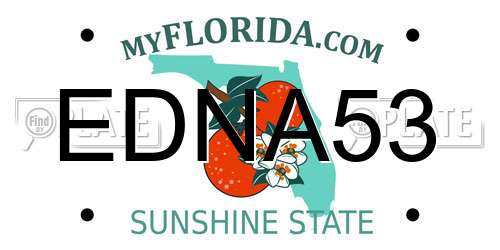 EDNA53 Florida License Plate