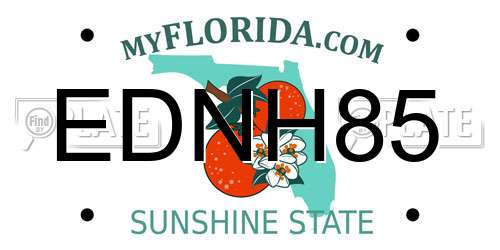 EDNH85 Florida License Plate