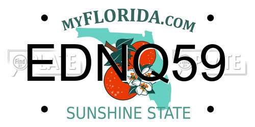 EDNQ59 Florida License Plate
