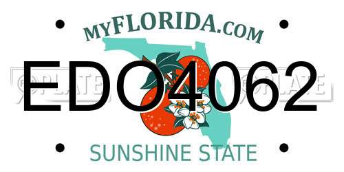 EDO4062 Florida License Plate