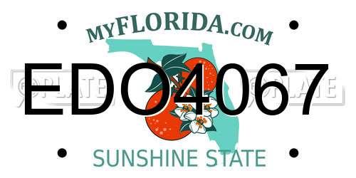 EDO4067 Florida License Plate