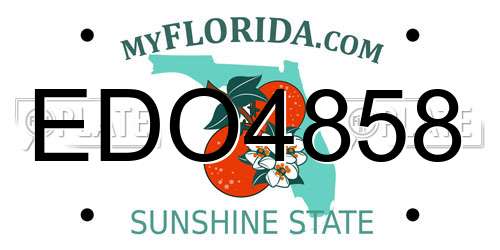 EDO4858 Florida License Plate