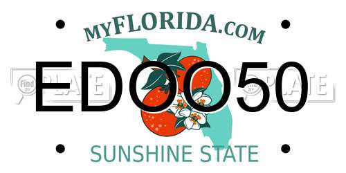 EDOO50 Florida License Plate