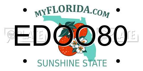 EDOO80 Florida License Plate