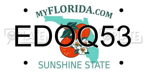 EDOQ53 Florida License Plate