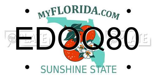 EDOQ80 Florida License Plate