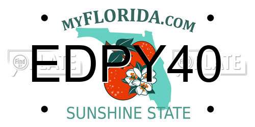 EDPY40 Florida License Plate
