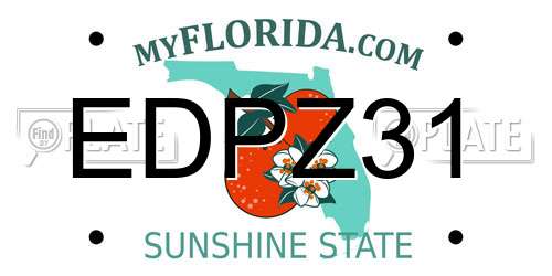 EDPZ31 Florida License Plate