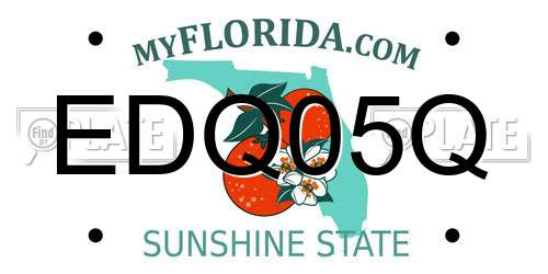 EDQ05Q Florida License Plate