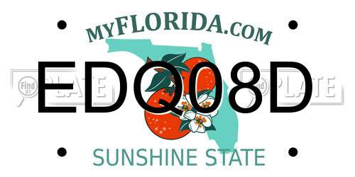 EDQ08D Florida License Plate