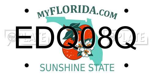 EDQ08Q Florida License Plate