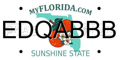 EDQABBB Florida License Plate