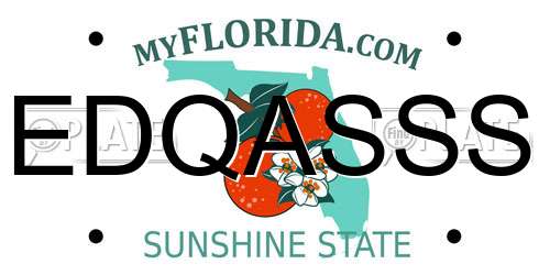 EDQASSS Florida License Plate