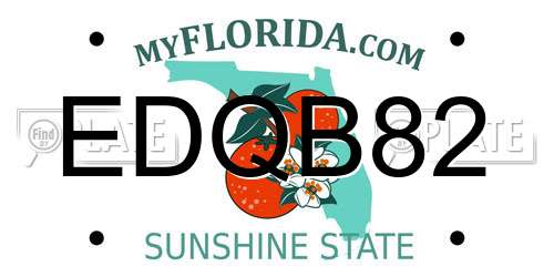 EDQB82 Florida License Plate