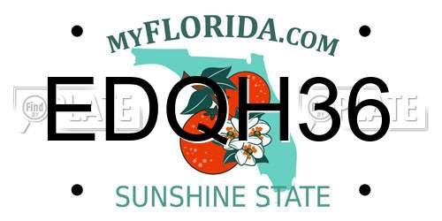 EDQH36 Florida License Plate