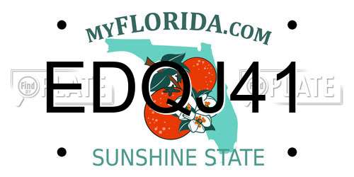 EDQJ41 Florida License Plate