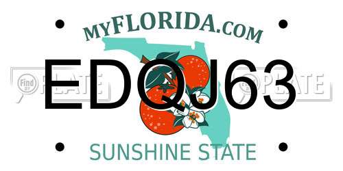 EDQJ63 Florida License Plate