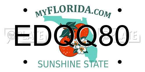 EDQQ80 Florida License Plate