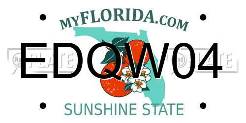 EDQW04 Florida License Plate