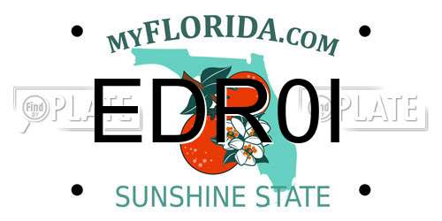 EDR0I Florida License Plate