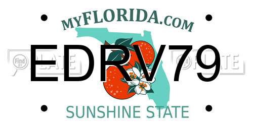 EDRV79 Florida License Plate