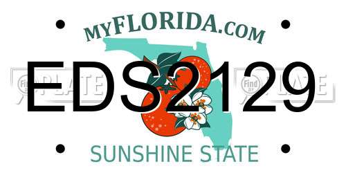 EDS2129 Florida License Plate