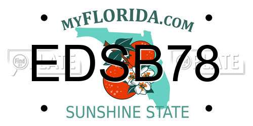 EDSB78 Florida License Plate