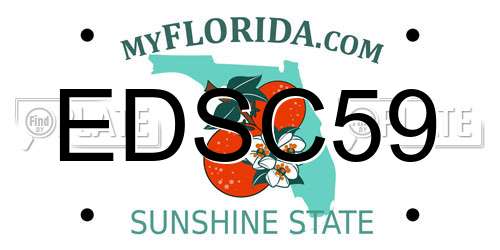 EDSC59 Florida License Plate