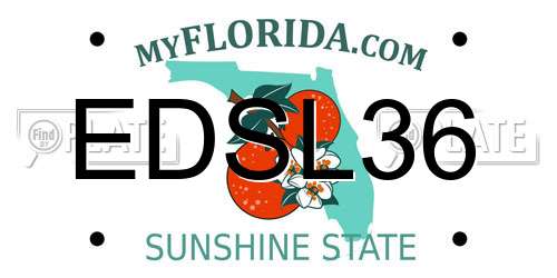 EDSL36 Florida License Plate
