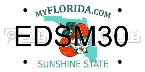 EDSM30 Florida License Plate