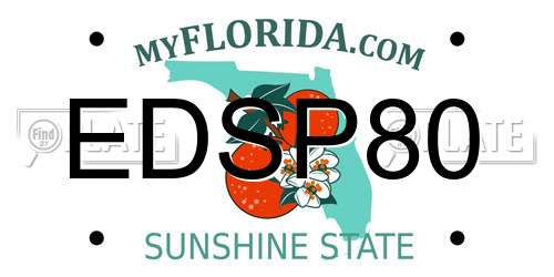 EDSP80 Florida License Plate