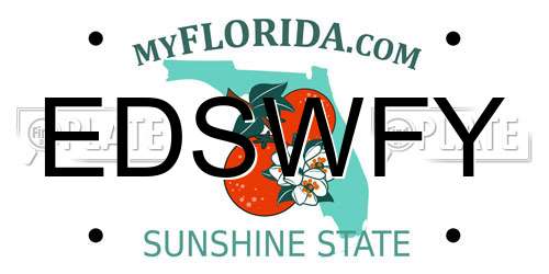 EDSWFY Florida License Plate