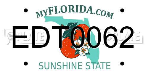 EDT0062 Florida License Plate