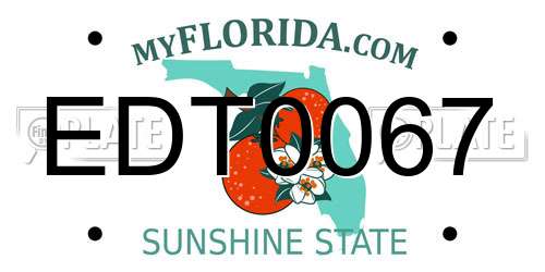 EDT0067 Florida License Plate