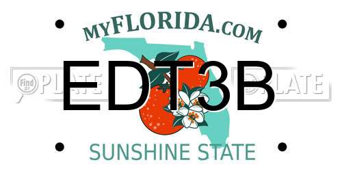 EDT3B Florida License Plate