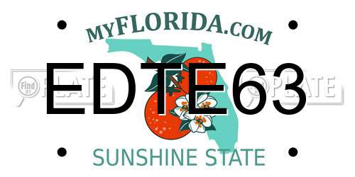 EDTE63 Florida License Plate