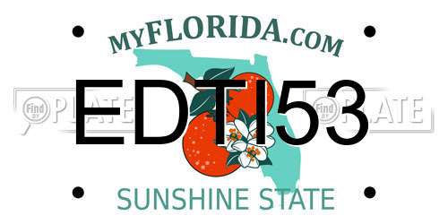 EDTI53 Florida License Plate